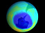 ozone globe 2003